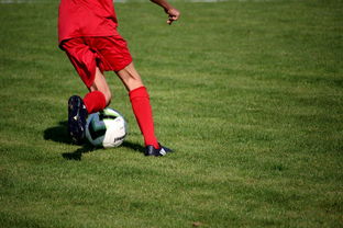 中国九游体育-俱乐部青训体系与职业联赛脱节，俱乐部青训有工资吗